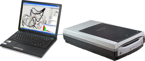 植物根系的功能與數據處理服務在生態研究中的應用