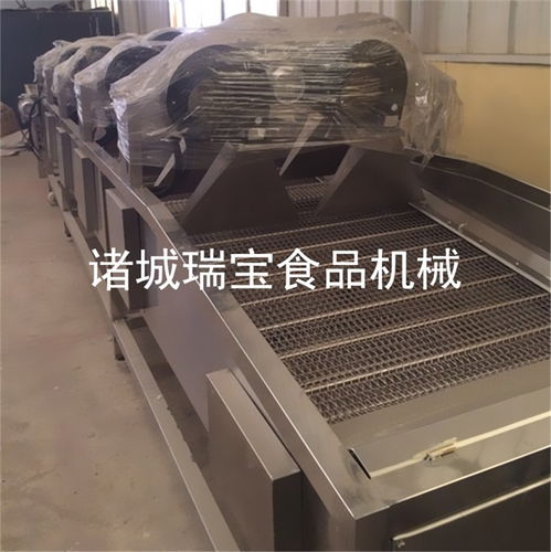 瑞寶食品機械 多圖 渦輪式風干機生產商 上海渦輪式風干機高清圖片 高清大圖