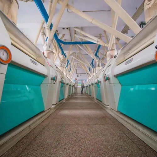 喜訊 省級特色優(yōu)勢食品產業(yè)強鎮(zhèn) 特色優(yōu)質食品,我市新增2項省級食品工業(yè)榮譽