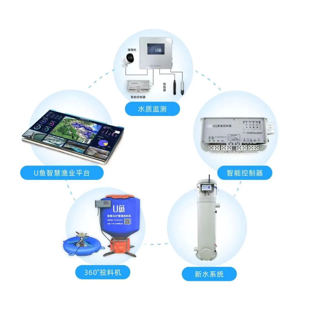 養(yǎng)殖設(shè)備免費(fèi)送？互聯(lián)網(wǎng)技術(shù)如何重塑養(yǎng)殖設(shè)施行業(yè)新格局